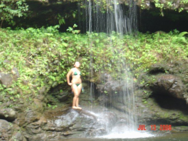 1910601_540031335811_8360_n